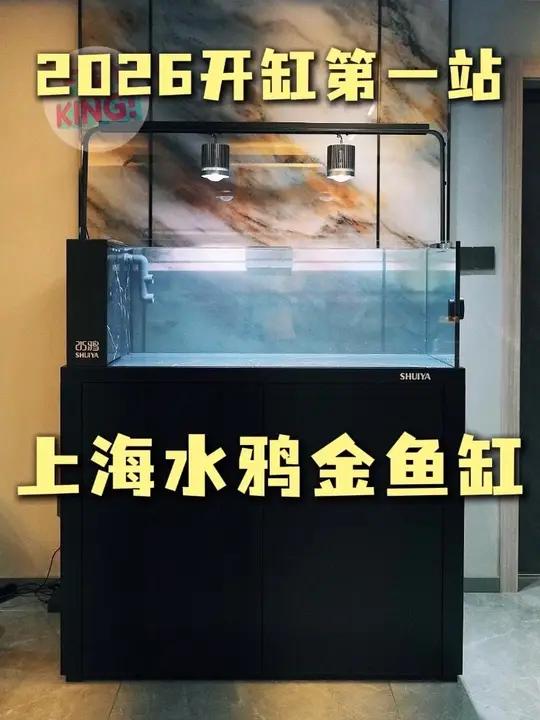 水鸦金鱼缸上海上门开缸