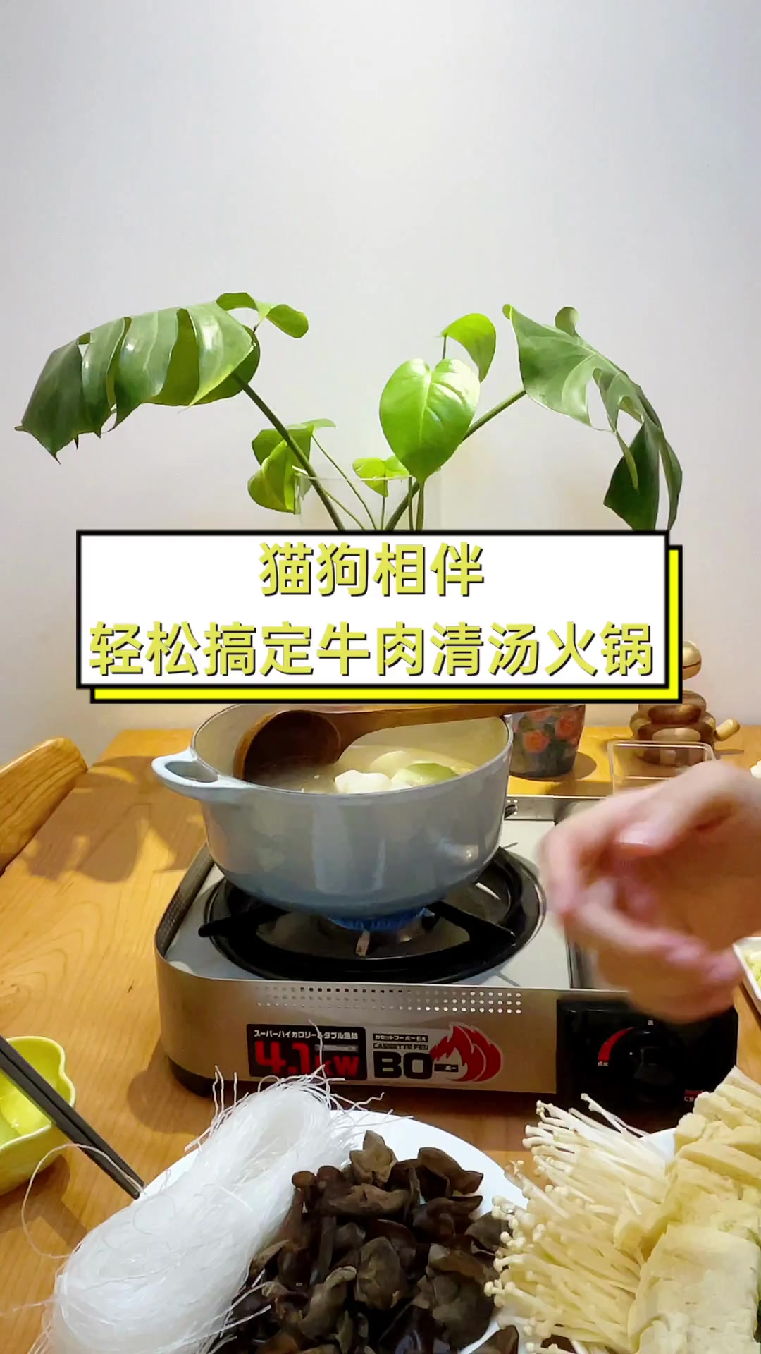 猫狗相伴,轻松搞定牛肉清汤火锅