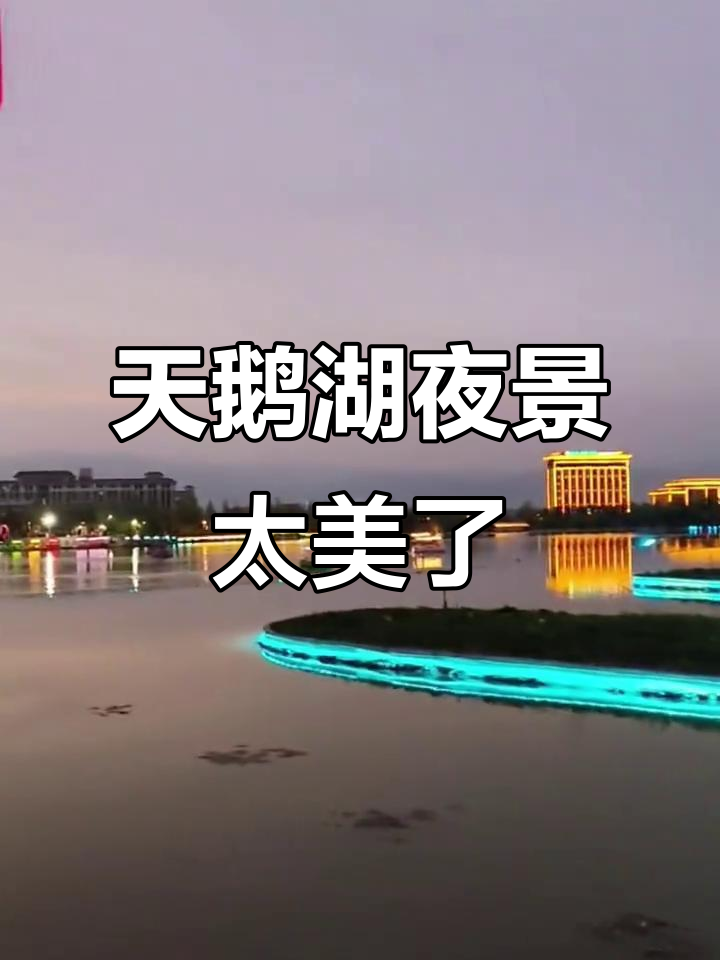 新源天鹅湖夜景震撼来袭,音乐喷泉与灯光完美融合