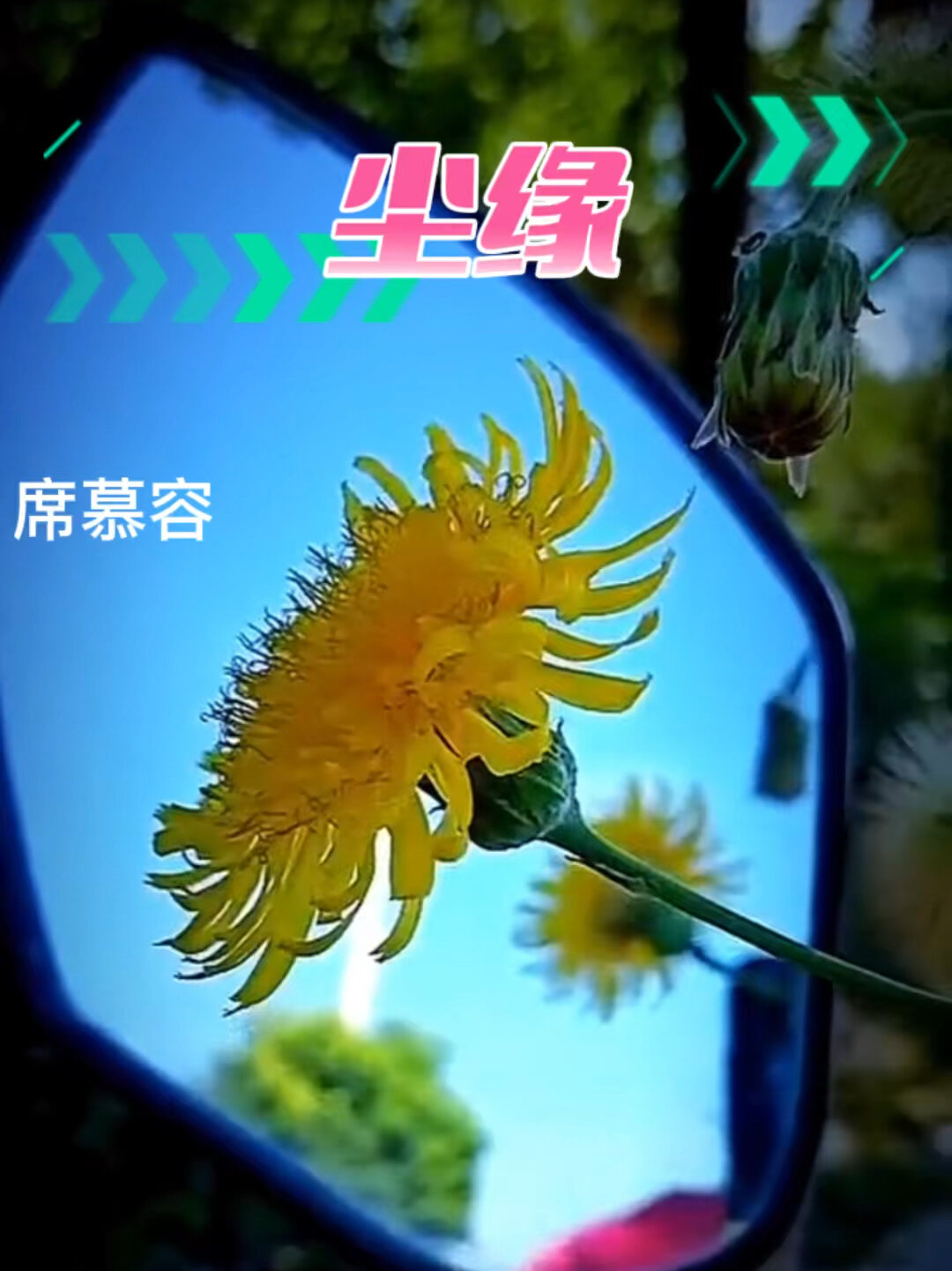 一起来朗读这首席慕容的《尘缘》
