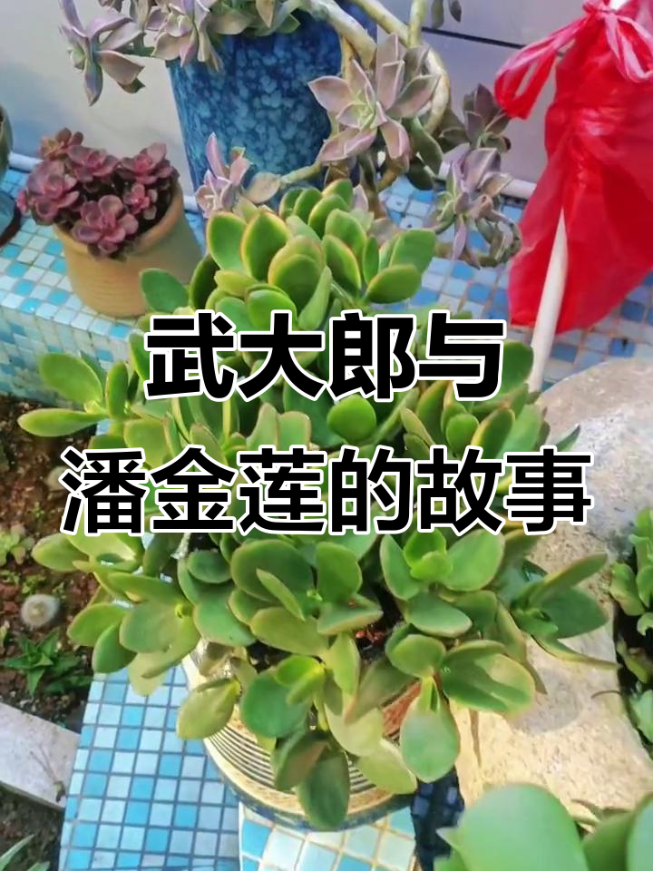 宋朝的武大郎与潘金莲：烧饼摊到高富帅的逆袭之路