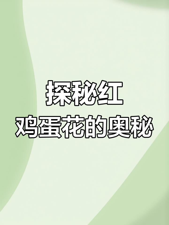 红鸡蛋花:一花一草,带你走进植物的世界