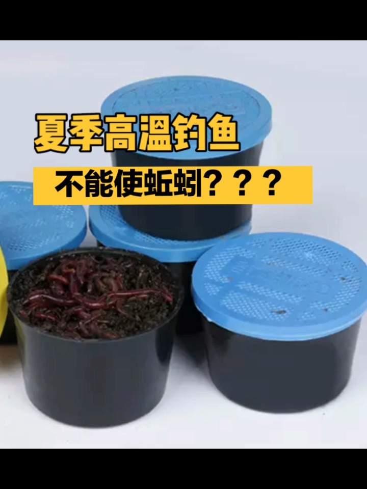 夏季高温,钓鱼不能用蚯蚓?