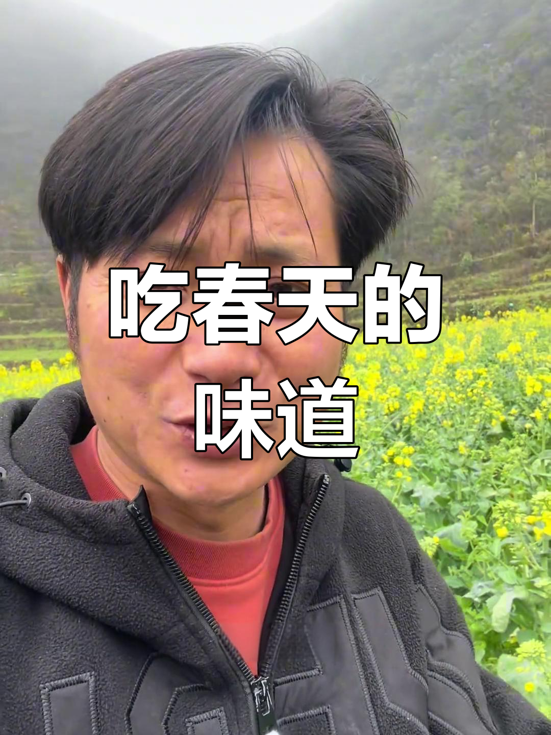 贵州春天野菜大揭秘,吃出健康与美味