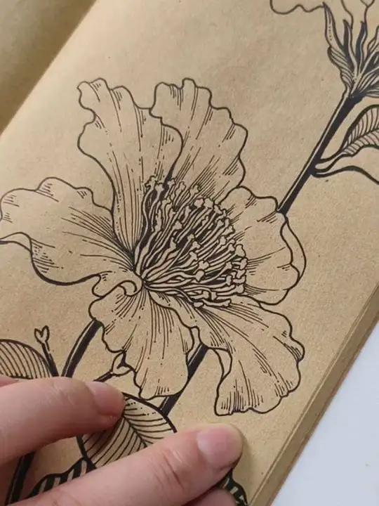 有一个兴趣爱好真好!手绘原创手绘画画画线描画手绘教程