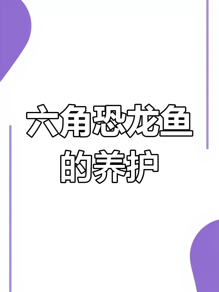 六角恐龙鱼:可爱又好养的淡水宠物,了解养护技巧