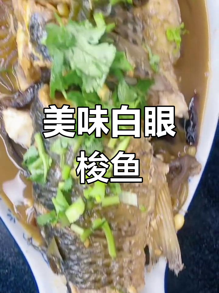 白眼梭鱼的家常做法,鲜美又营养