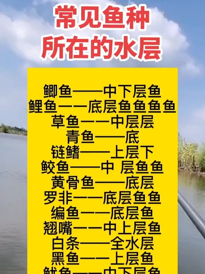 常见鱼种,所在的鱼层,你知道吗