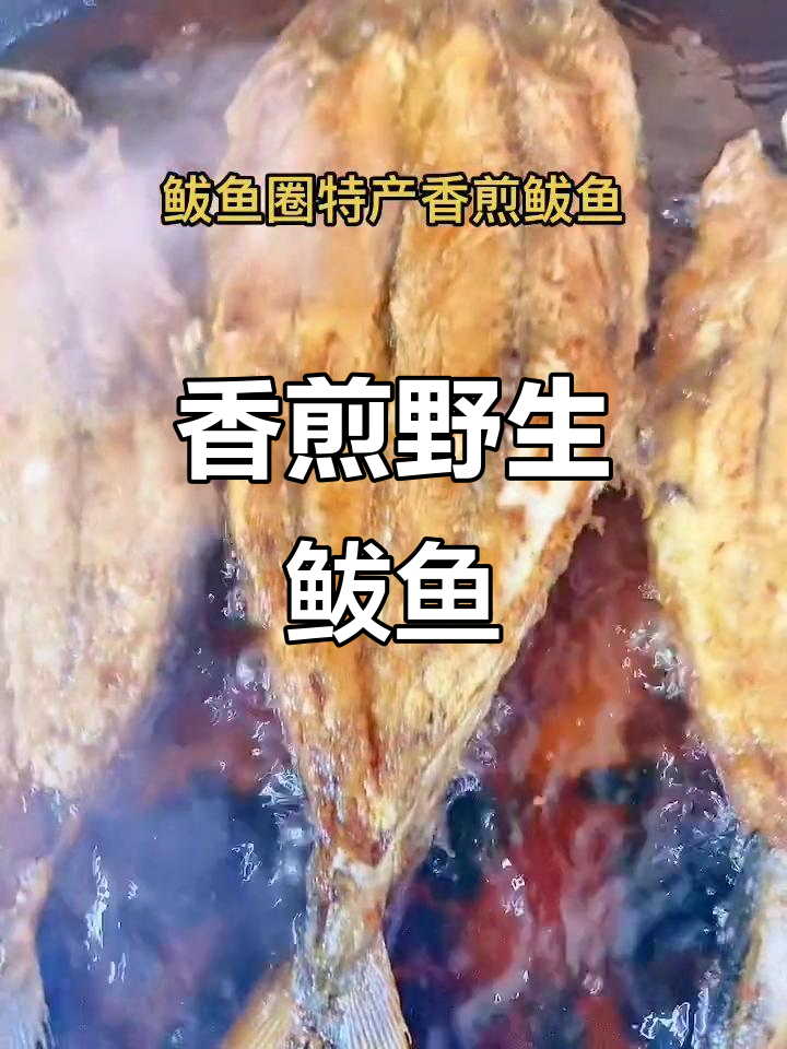 鲅鱼圈野生鲅鱼,手工腌制,外脆内嫩,鲜美十足