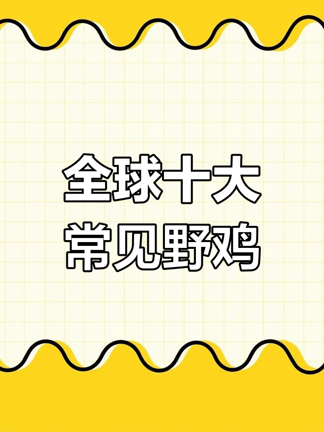 世界各地野鸡大揭秘,你认识几种?