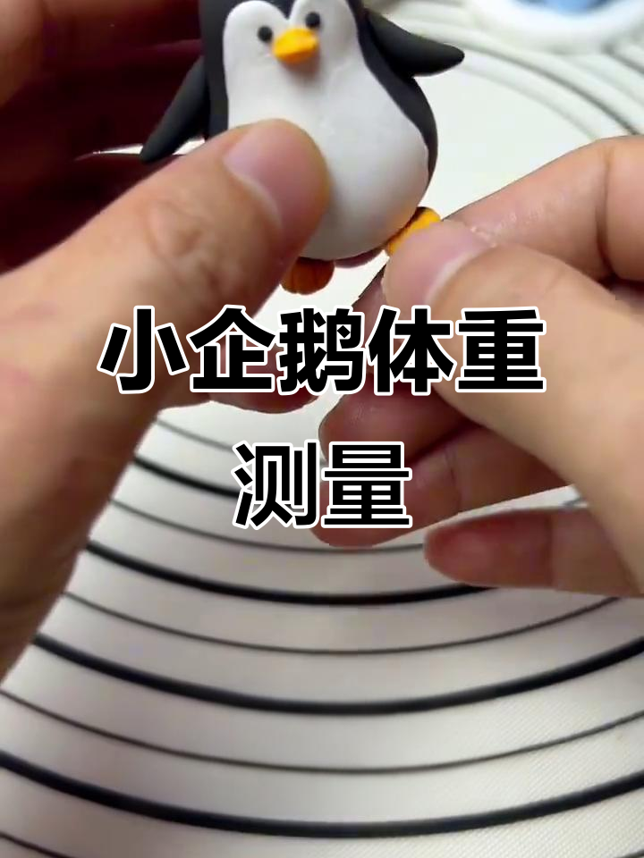 企鹅称重挑战,超轻粘土制作可爱小企鹅