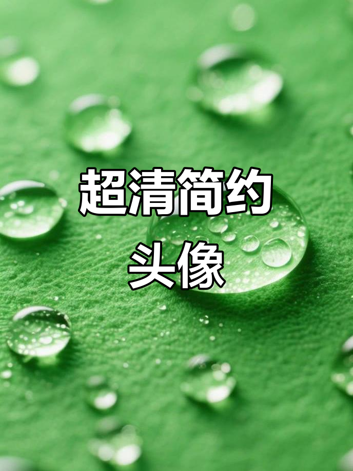 简约优雅头像,超高清壁纸分享