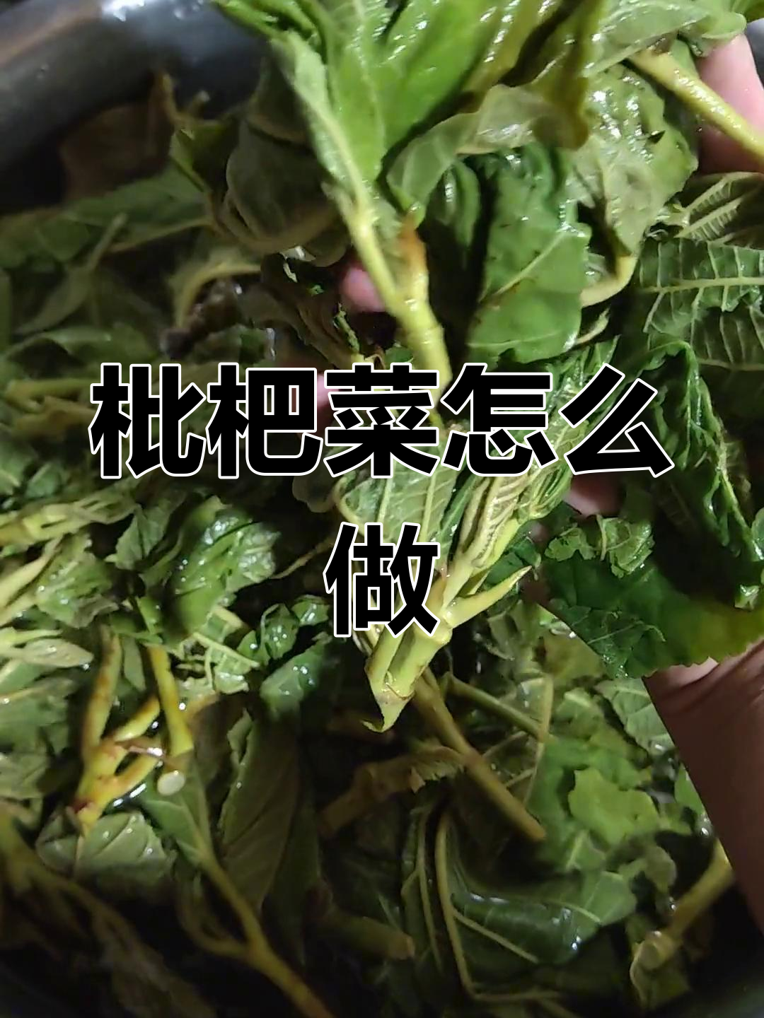 枇杷菜煮豆米,做法超简单!