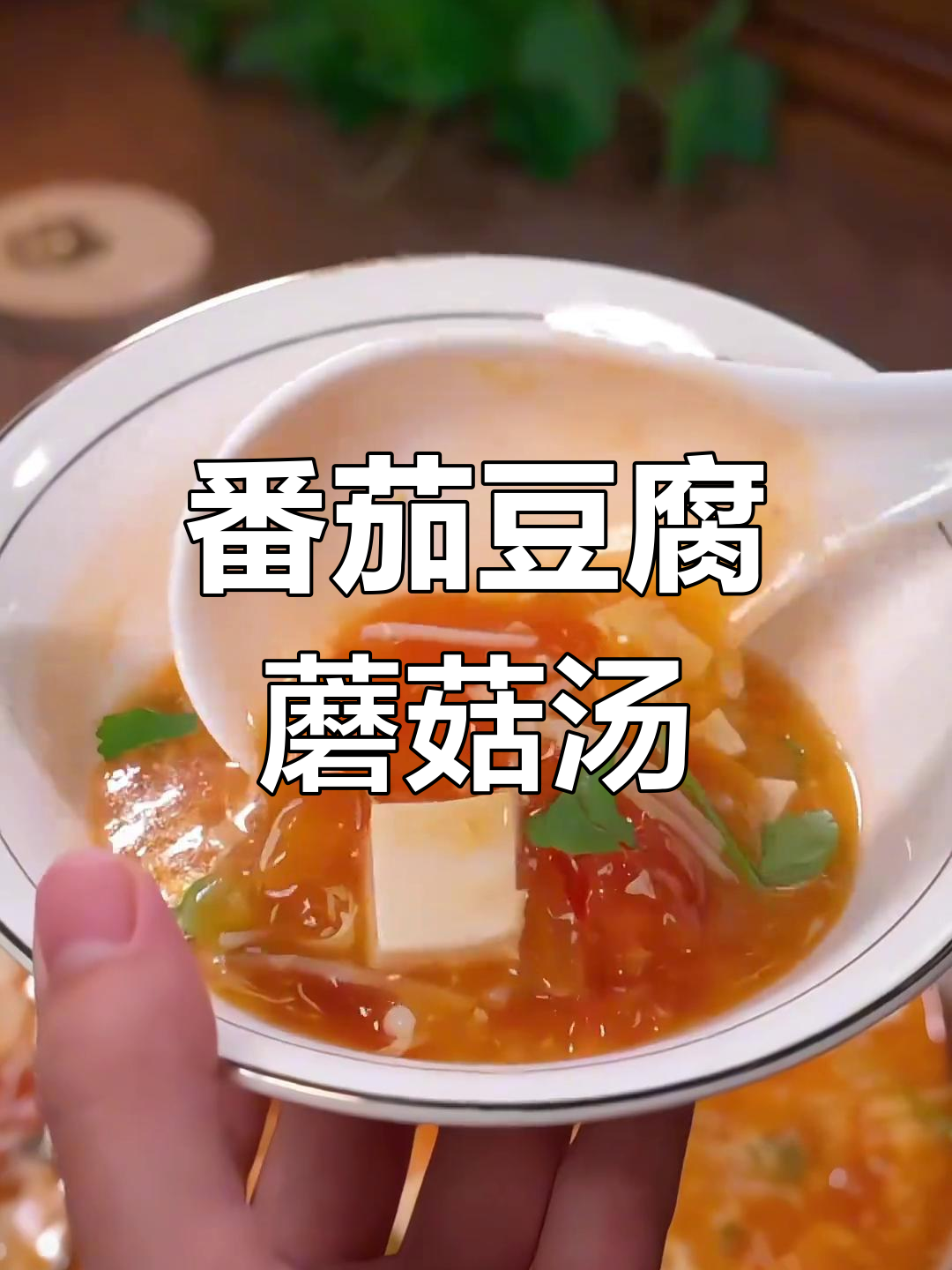 西红柿豆腐菌菇汤,鲜香四溢的家常美味
