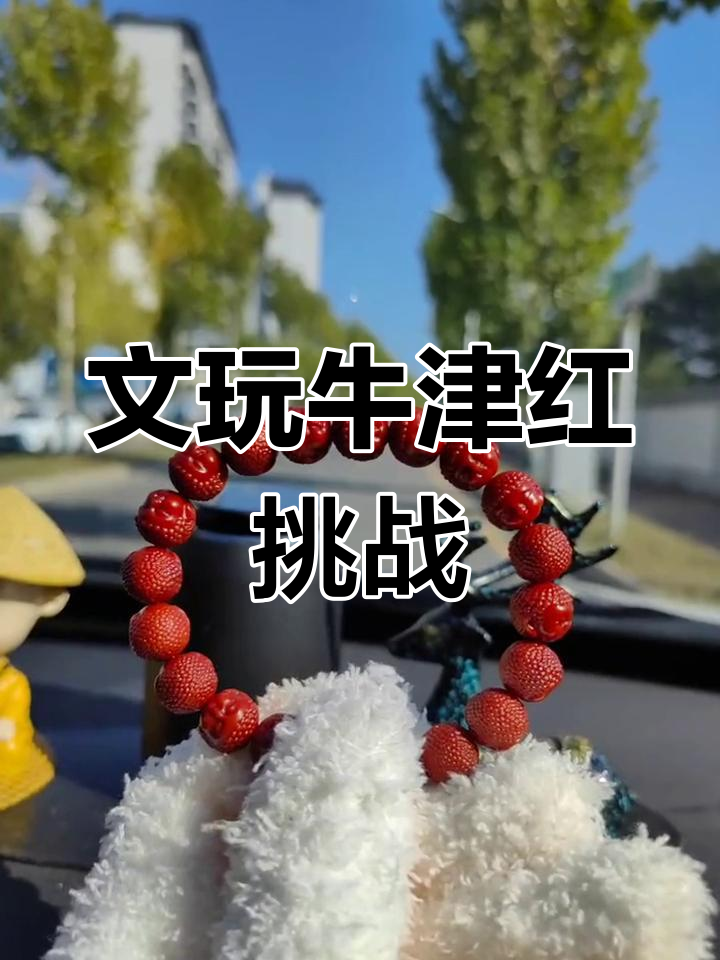 牛津红鲨鱼背手串，文玩挑战一周上色效果大揭秘