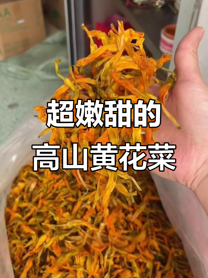 台湾高山黄花菜,鲜甜清香又美观