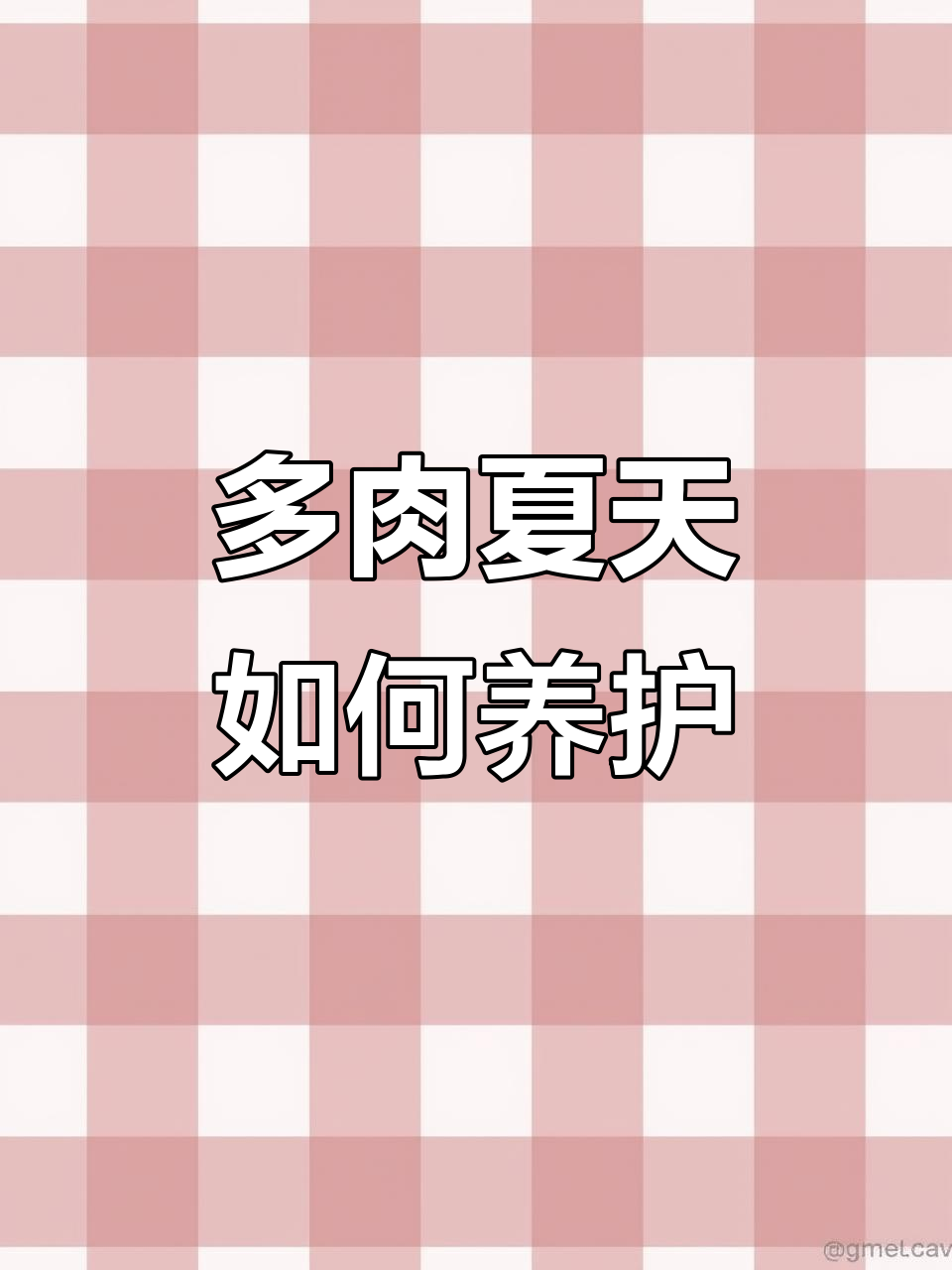夏季多肉养护全攻略:遮阳、控水,避免晒伤和死亡
