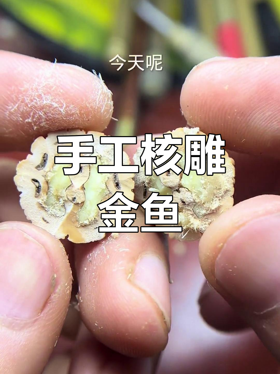 薄壁核桃雕刻蓝寿金鱼