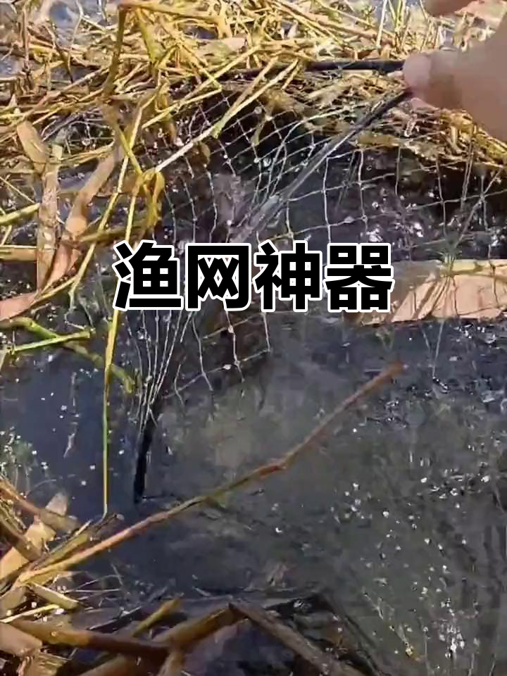 想要捕鱼轻松?这款网具让你随心所欲,鱼儿尽收囊中!