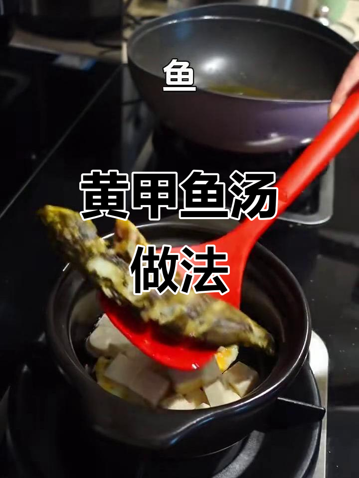 黄甲鱼汤,荷包蛋豆腐搭配鲜美无比