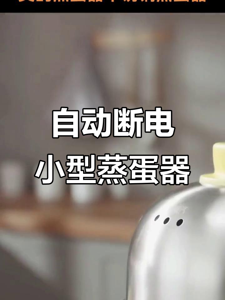 小巧双层蒸蛋器,宿舍早餐必备自动断电功能