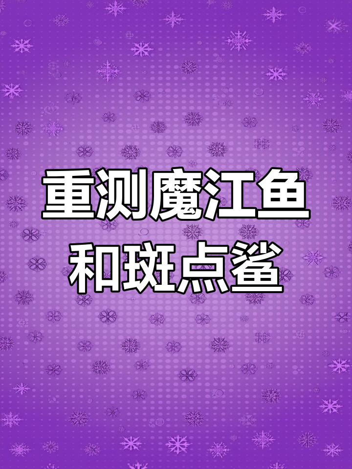 魔鳉鱼与斑点鲨重测,渔网技巧大揭秘
