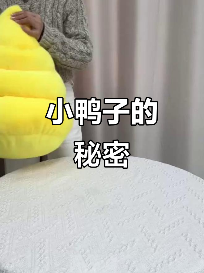 八把毛绒玩具里藏了一只小鸭子,竟然找不到它!