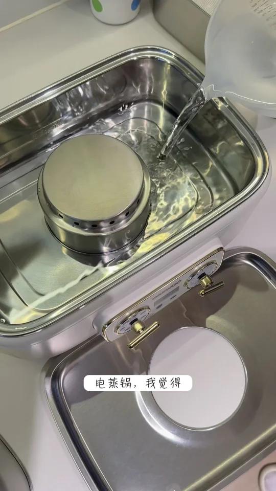 3款全不锈钢电蒸锅亲测!拒绝塑料感