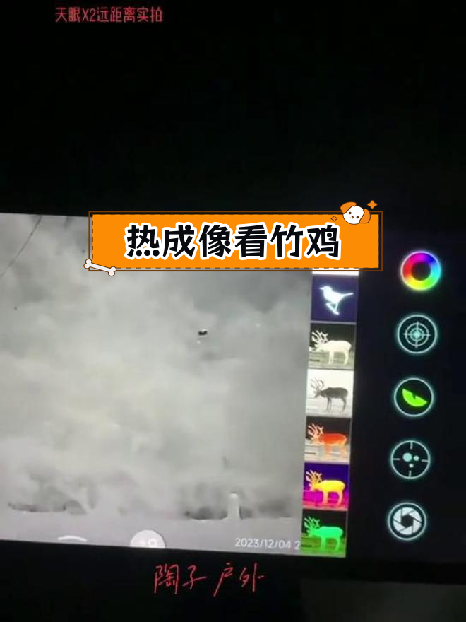 远距离热成像实拍,竹鸡清晰可见