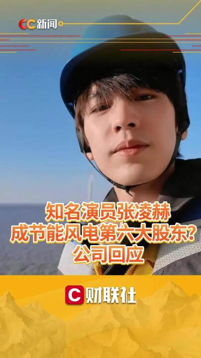 知名演员成节能风电第六大股东?公司回应