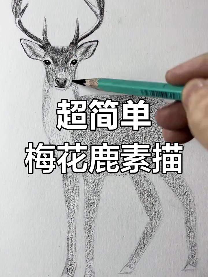 零基础素描梅花鹿,轻松学会抽象画法