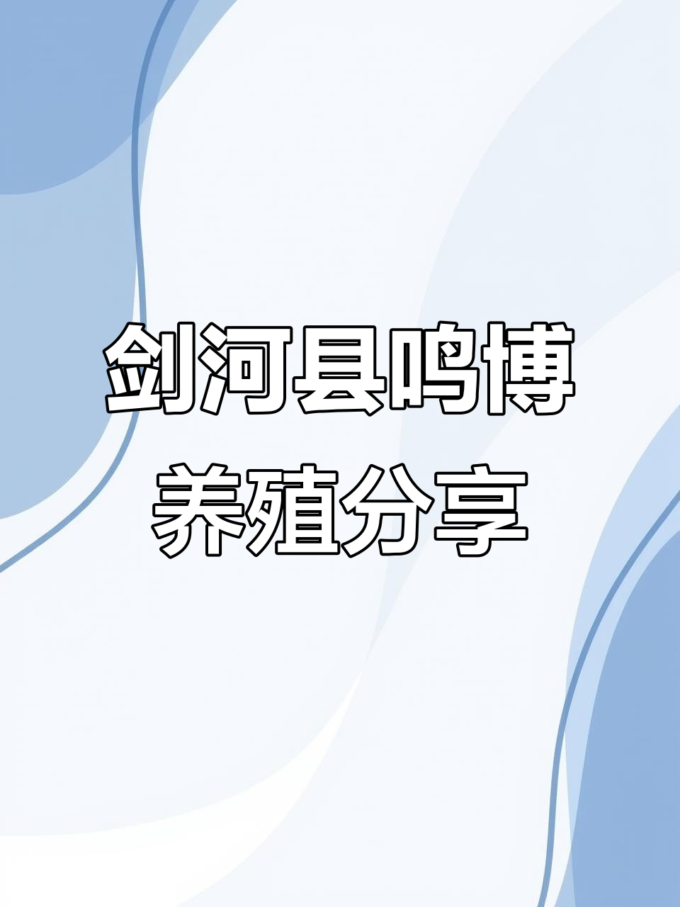公鸡中的战斗机,养殖技术大揭秘