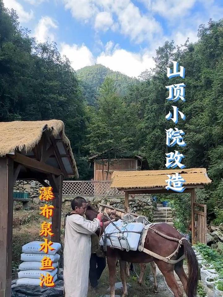 一个人在大山山顶，建造了一个山泉水瀑布鱼池