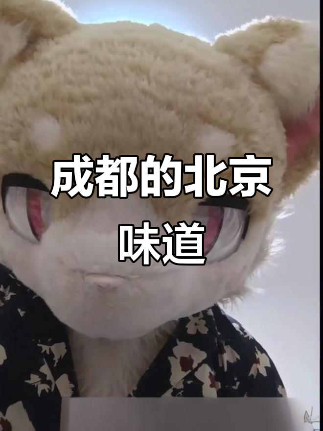 北京人去成都必试墨西哥鸡肉卷,地道美味不容错过