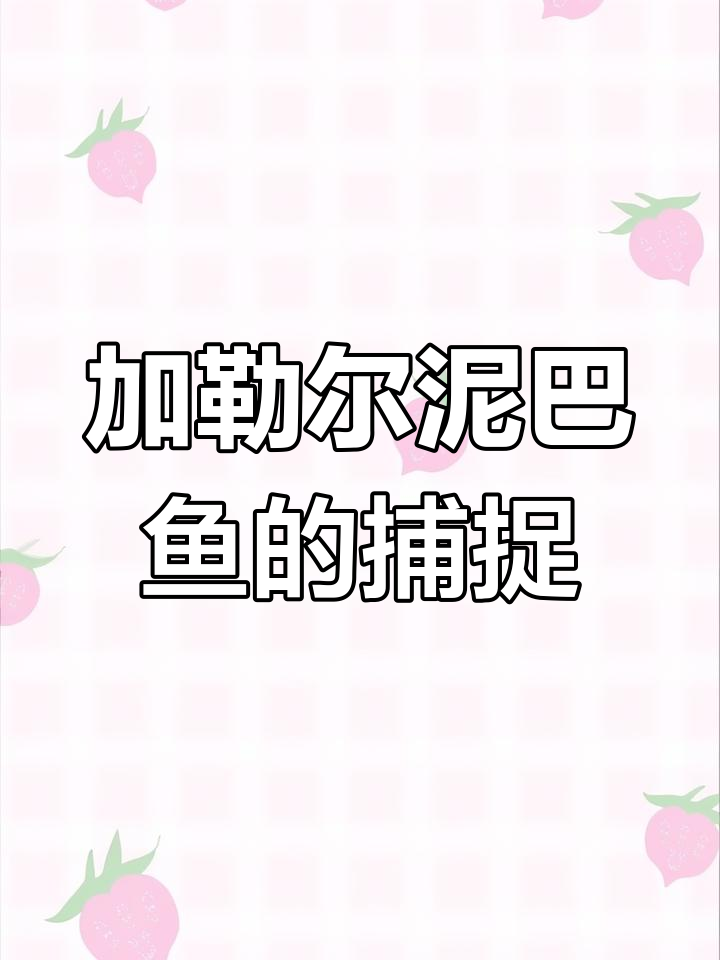 鲤鱼王进化成加勒尔泥巴鱼，遇到呐喊队人员大作战