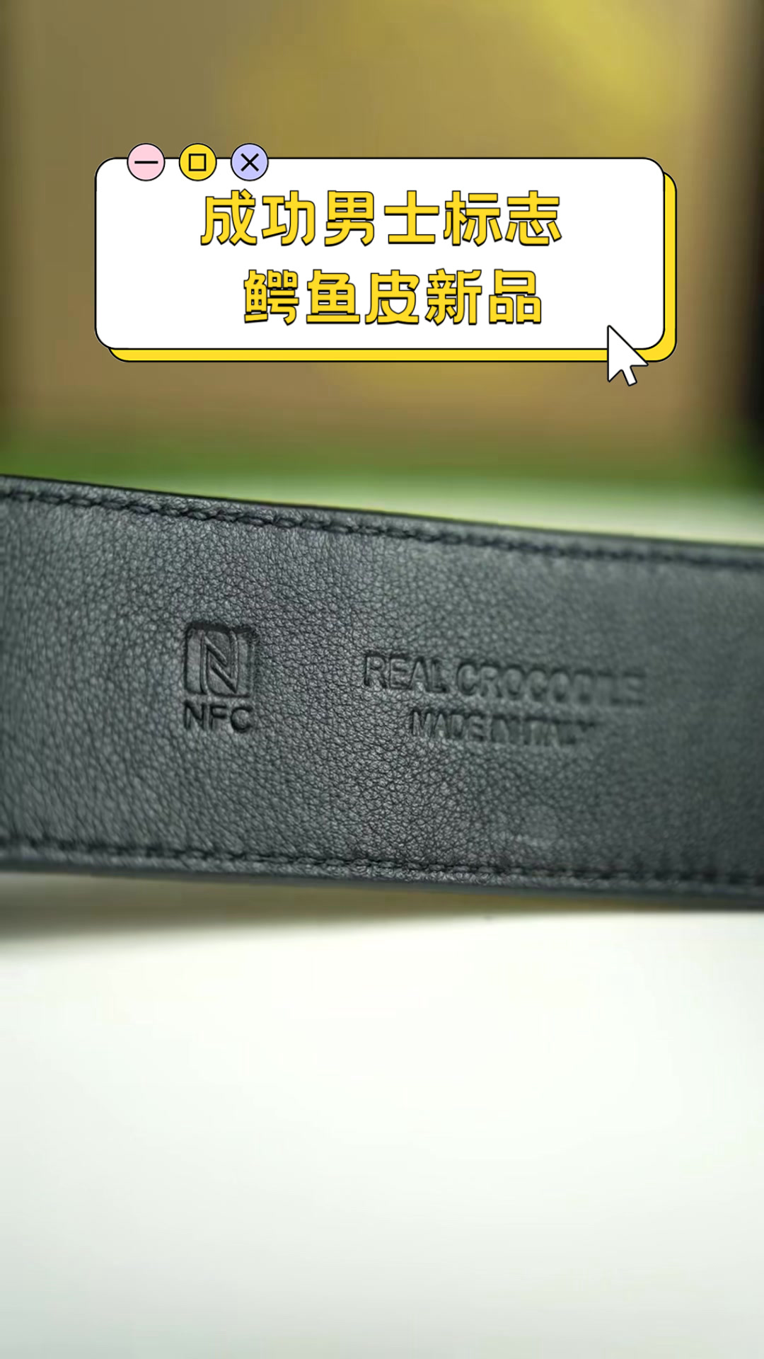 成功男士标志,鳄鱼皮新品