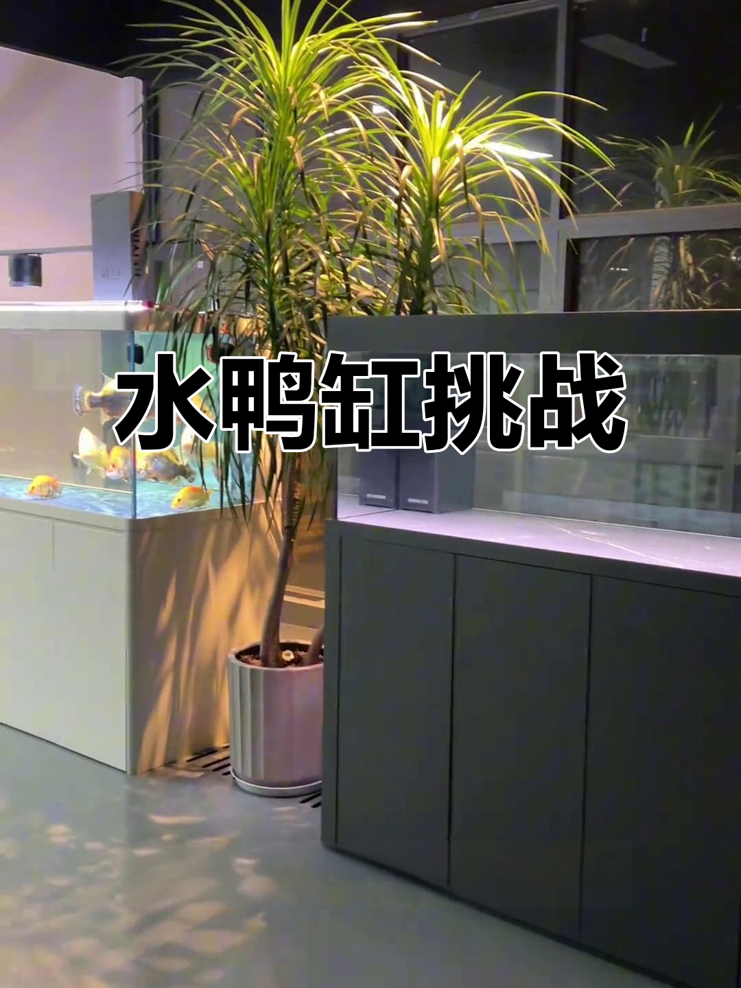 为了水鸦缸,打造百斤巨物!能撑得住吗?