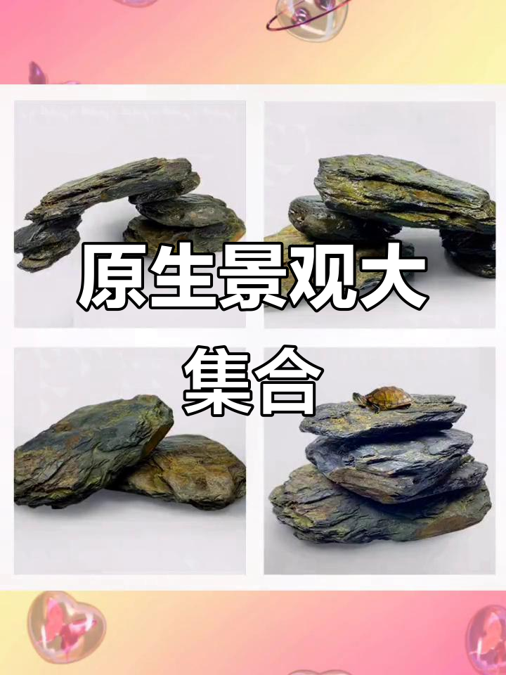 溪流造景,石南美缸、异形与乌龟的完美融合