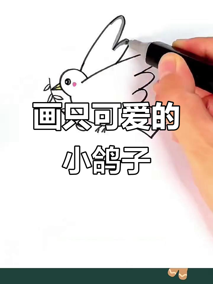 轻松画出可爱小鸽子,步骤简单又有趣