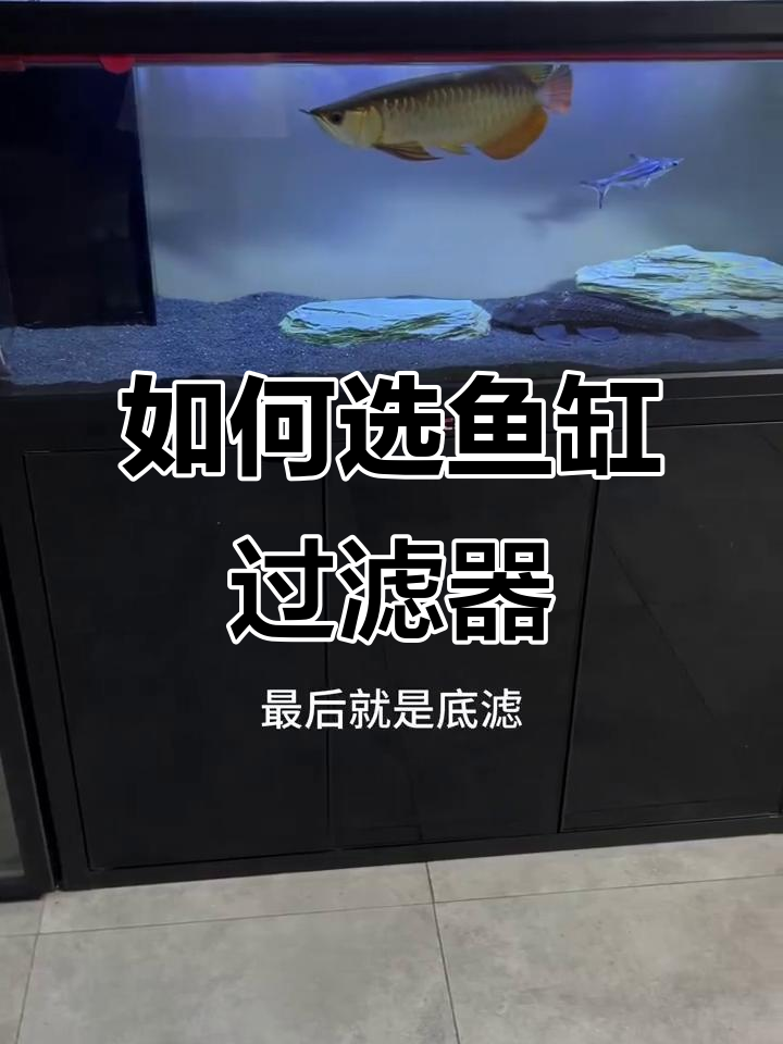 鱼缸过滤选择指南:哪种最适合你?