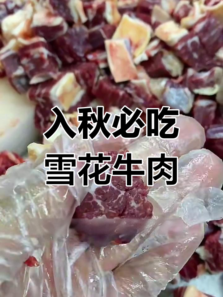 初秋红烧牛腩,雪花肉与金皮儿完美搭配