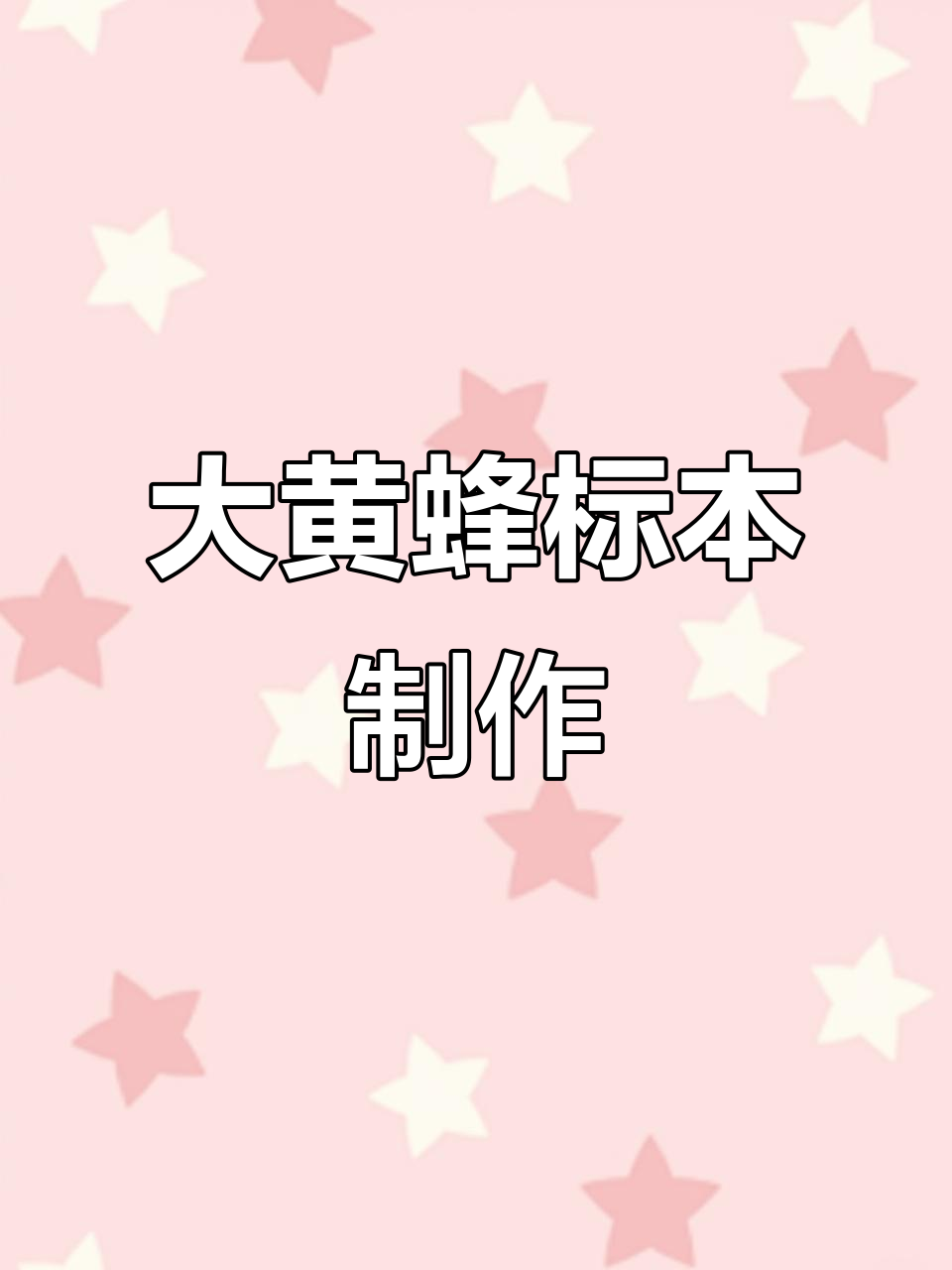 制作大黄蜂标本,用树脂封存这段难忘时光