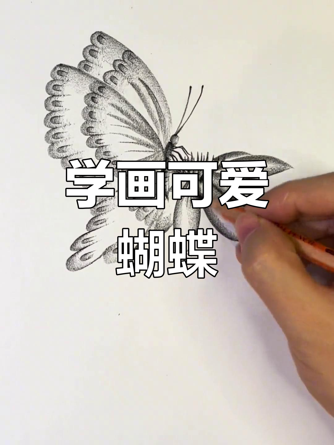 30秒学会画蝴蝶,简单又好看!