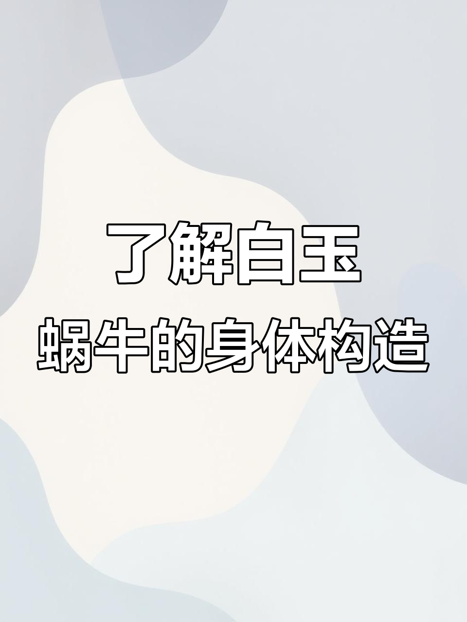 白玉蜗牛的神奇身体结构,揭秘五个部分的功能与作用