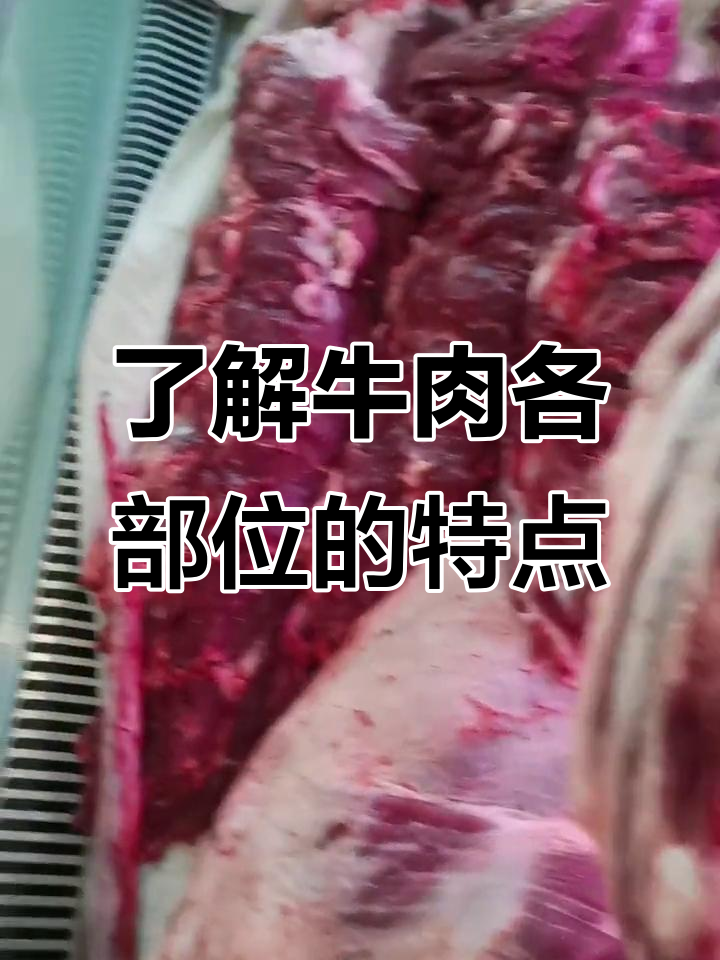 牛肉部位全解析:从牛尾巴到梅条,每一块都好吃