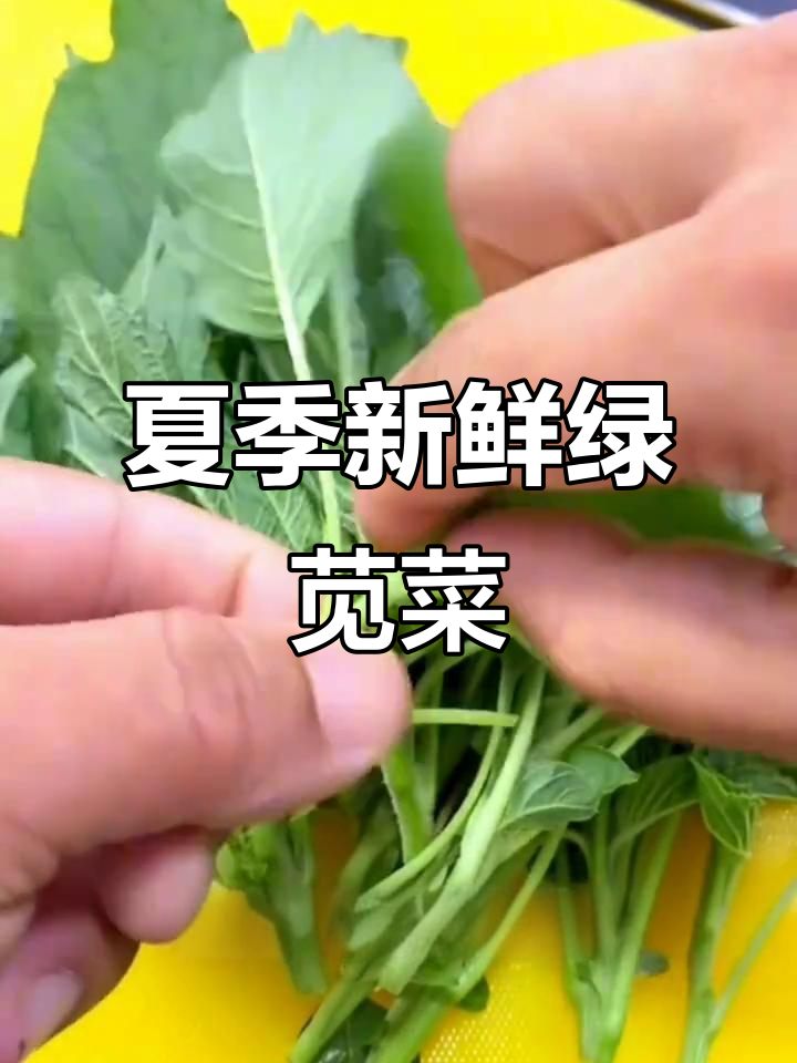 夏日必备!鲜嫩绿苋菜,营养丰富又美味