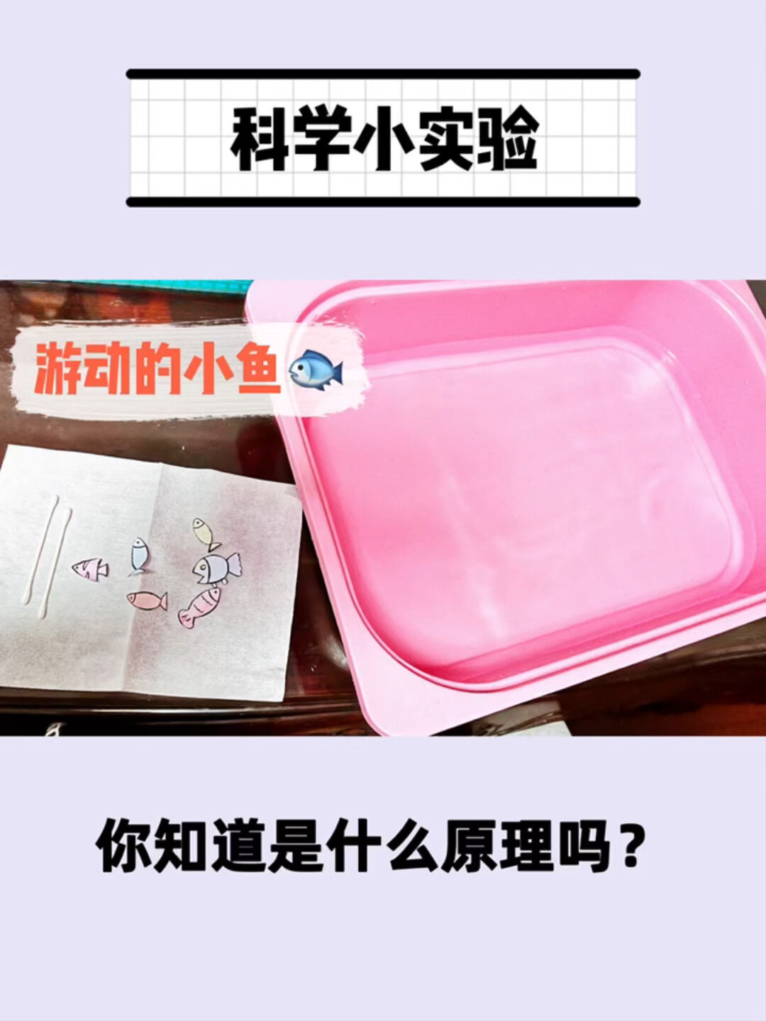 科学小实验|小鱼涂了洗洁精后为什么会游动