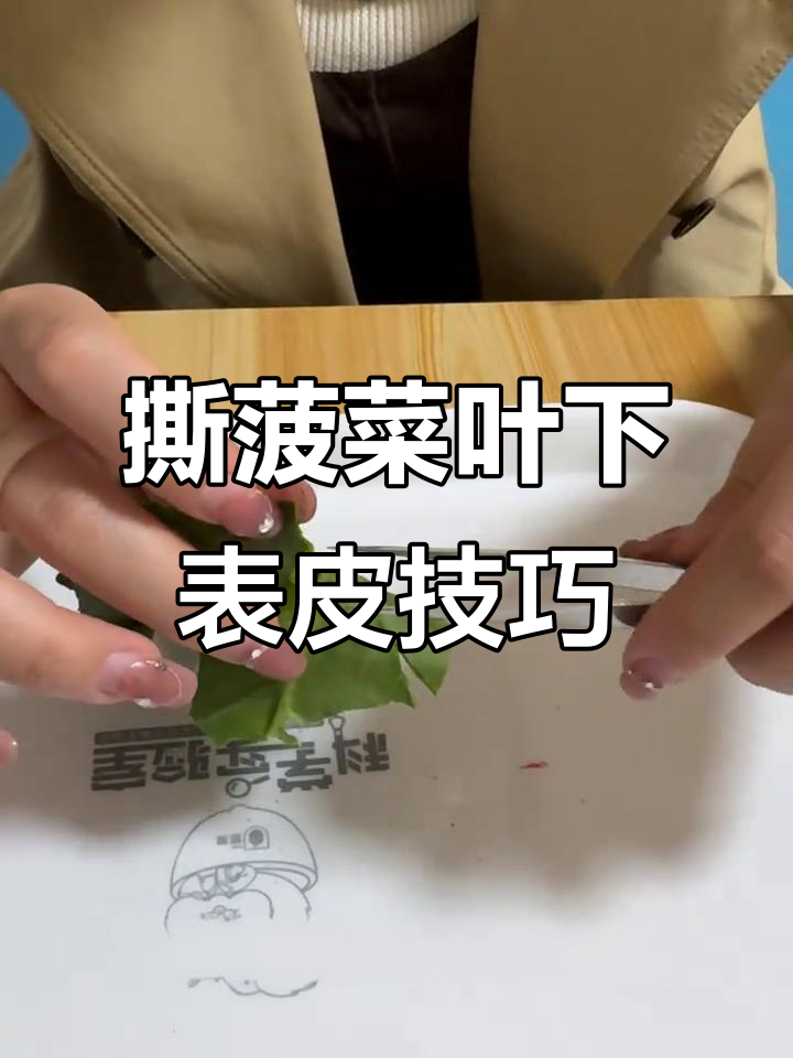 轻松撕取菠菜叶片下表皮,技巧大公开!