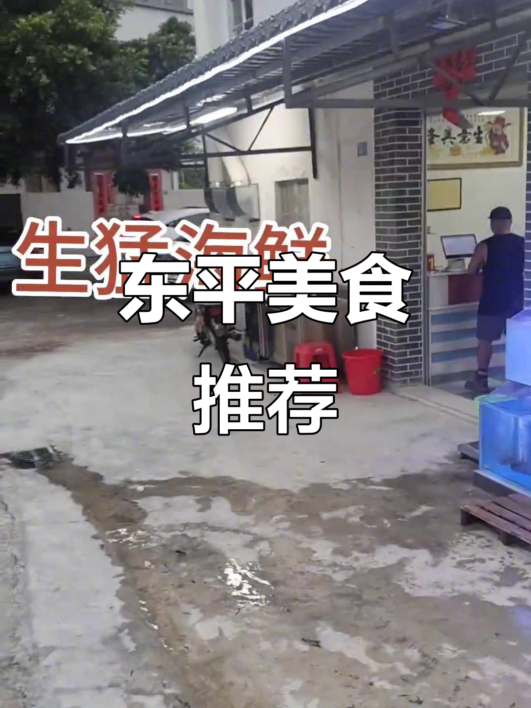 夏日必尝,东平海鲜与农家菜,阳江碌鹅最美味