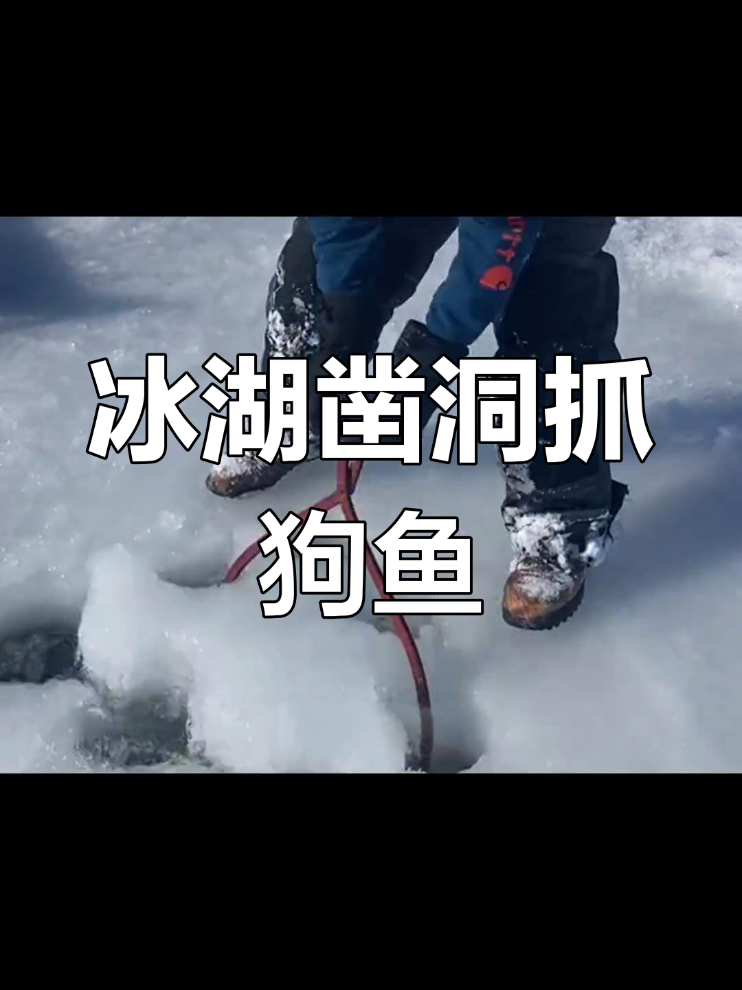 渔民在冰冻湖面上凿洞捕狗鱼,挑战极限冰雪钓鱼技巧